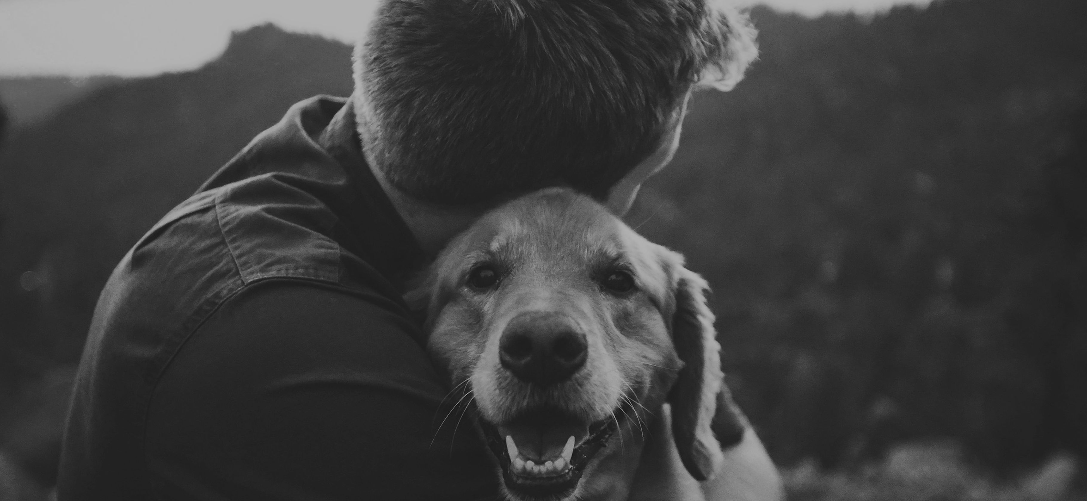 A man hugging a golden retriever, wooded hills behind them at dusk.