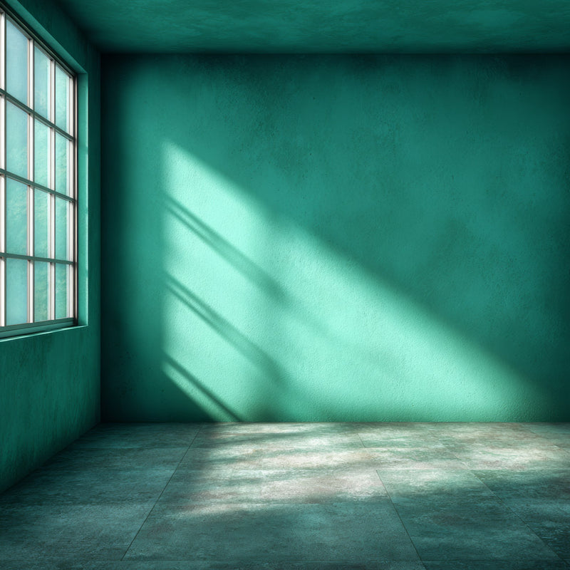 Green room with sunlight casting shadows on the wall.