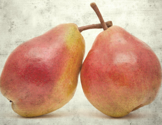 Two red pears supporting one another on a textured surface.